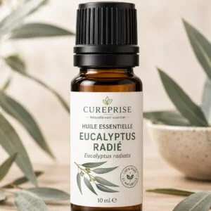 Huile essentielle eucalyptus radié 10 ml Cureprise flacon verre